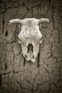 In Memory of Georgia