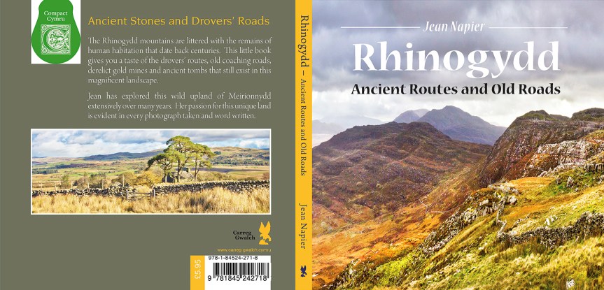 Rhinogydd Ancient Routes and Old Roads
