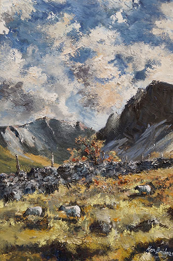 Afteernoon Sunight Cader Idris