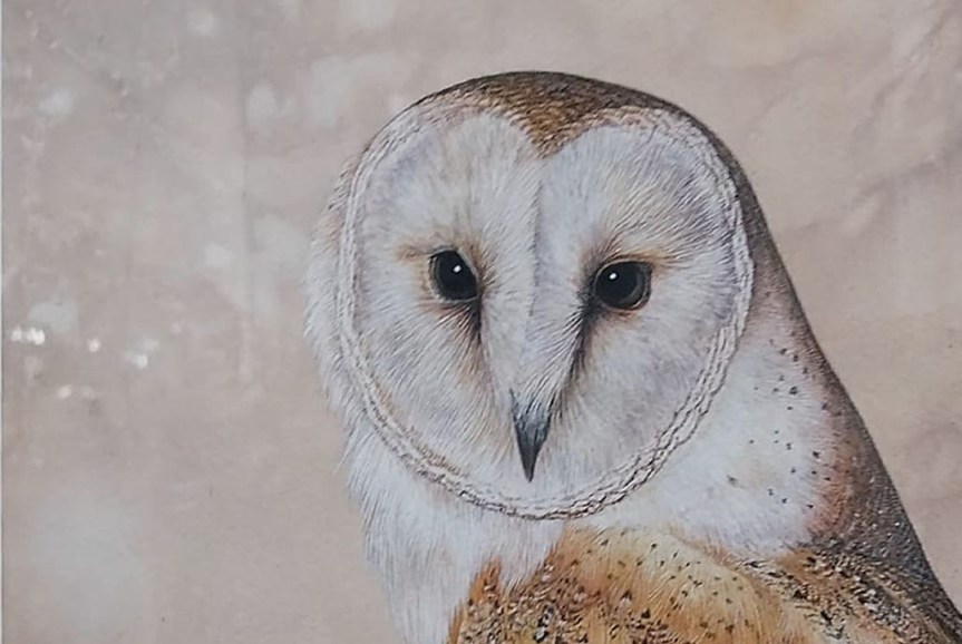 Annual Art Exhibition&nbsp;2024