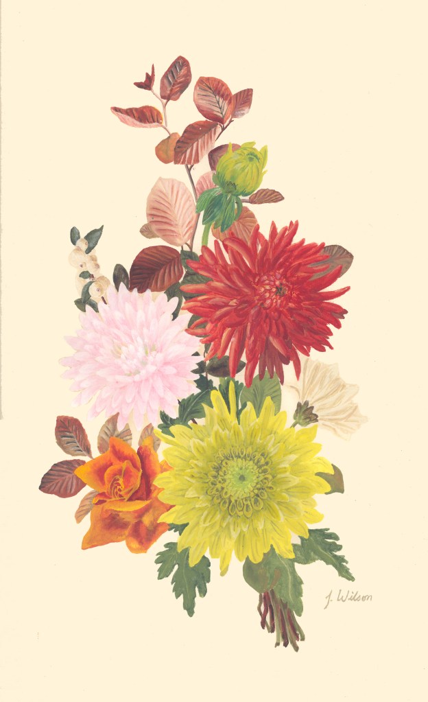 Autumn Flowers
