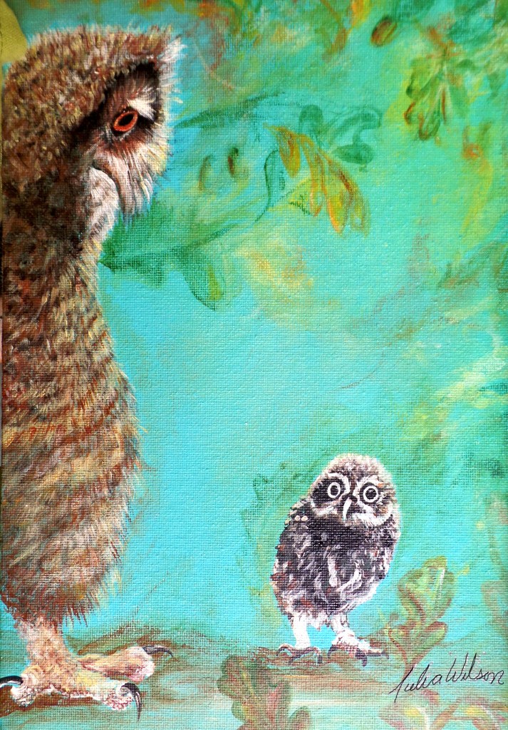 Owl and owlet